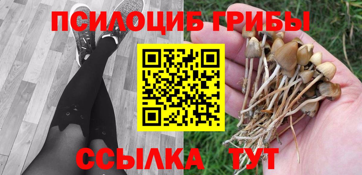 Бутурлиновка  Галлюциногенные грибы Psilocybe  Вход с VPN 
