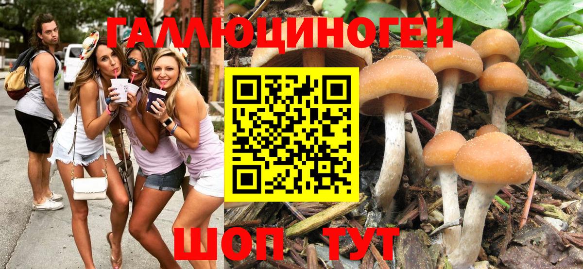 Псилоцибиновые грибы мицелий Бутурлиновка